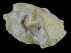 Aragonite & Kutnohorite Geode Half - Italy #61771-1